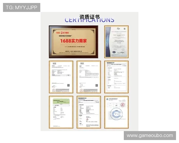 欧博代理网址大全：2024年最新版本的官方入口及安全保障措施