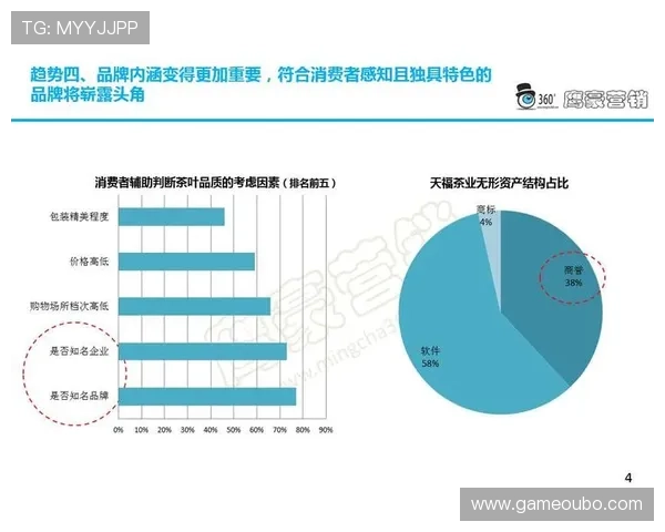 欧博信息在网络游戏行业中的作用与未来发展趋势分析
