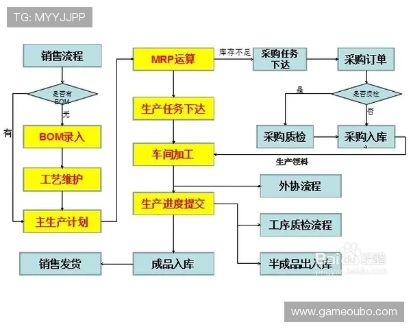 深入解析欧博管理流程中的关键环节与实用操作技巧